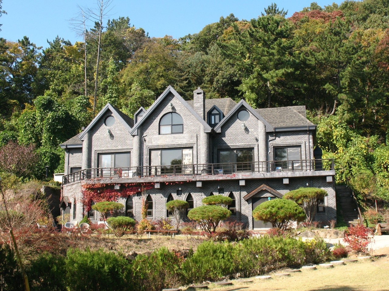 사용자가 올린 이미지