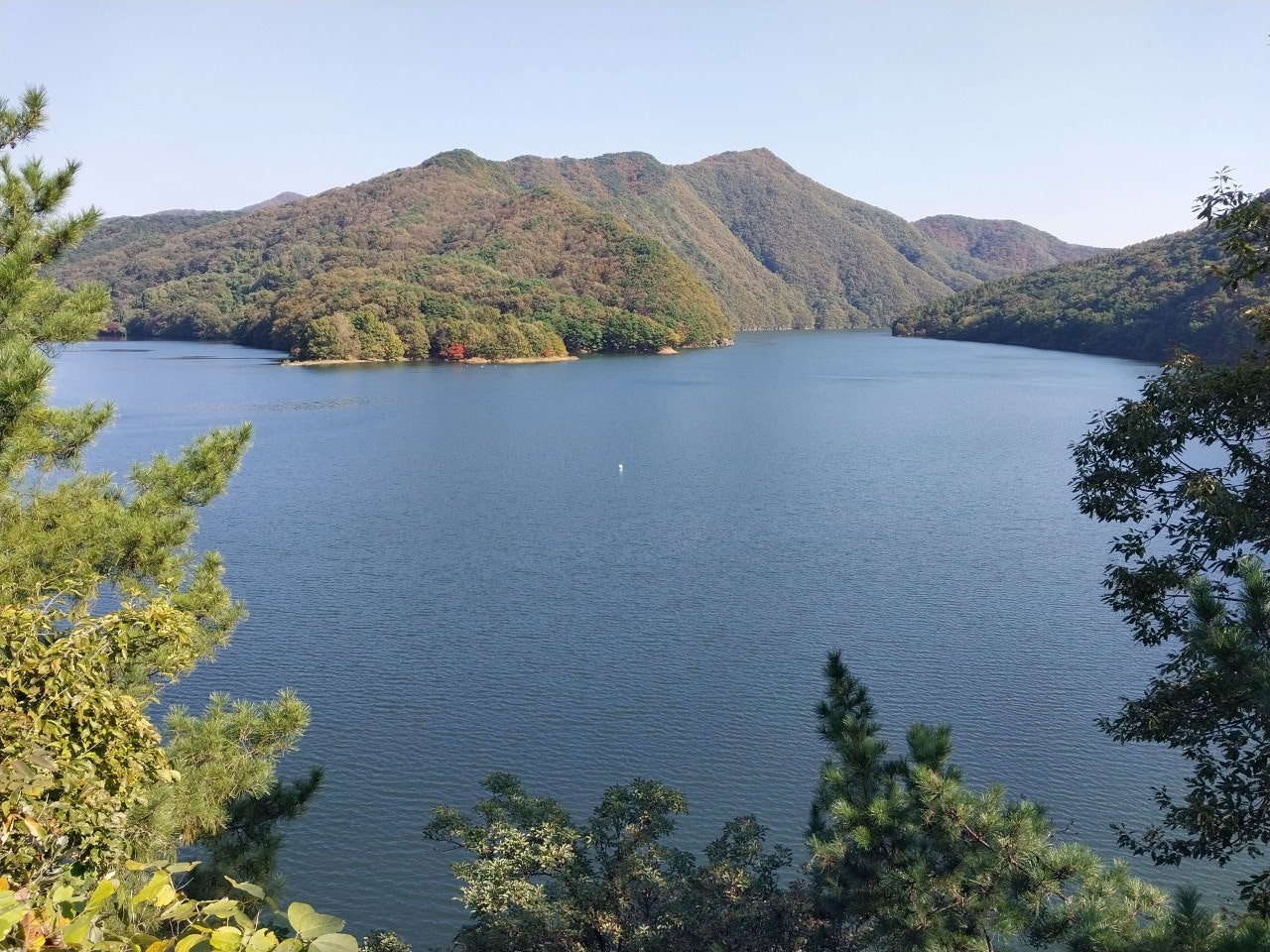 사용자가 올린 이미지