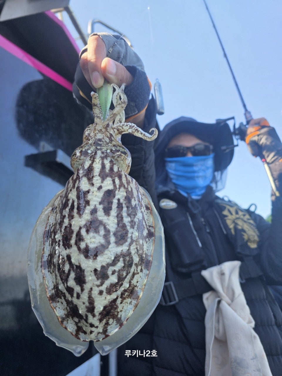 사용자가 올린 이미지