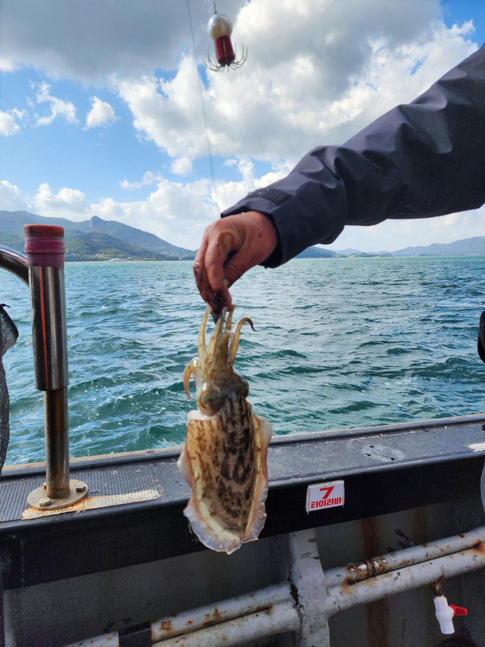 사용자가 올린 이미지