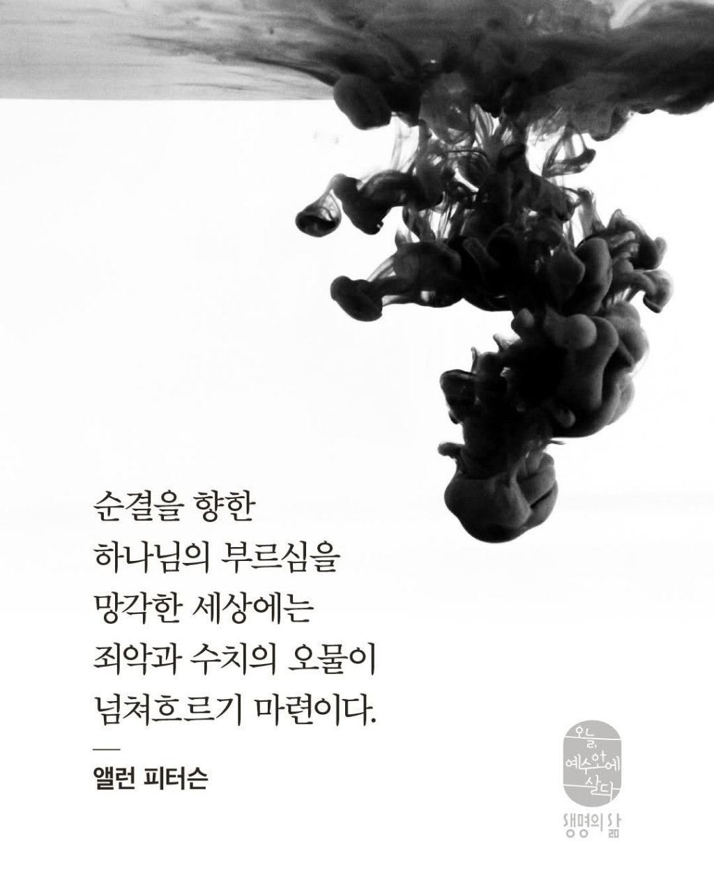 ����ڰ� �ø� �̹���