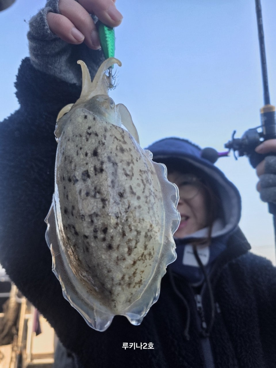 사용자가 올린 이미지