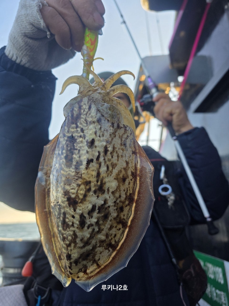 사용자가 올린 이미지