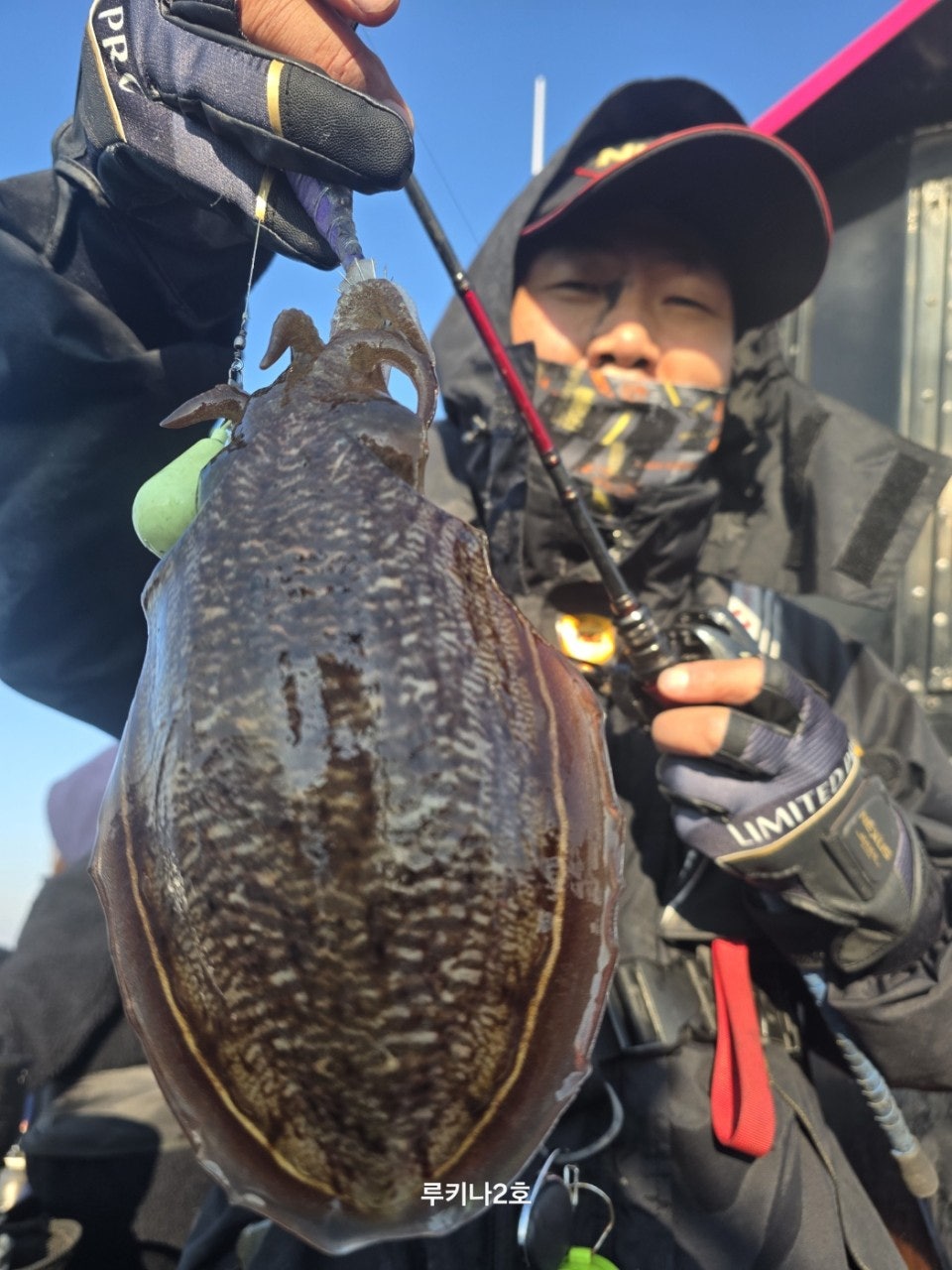 사용자가 올린 이미지