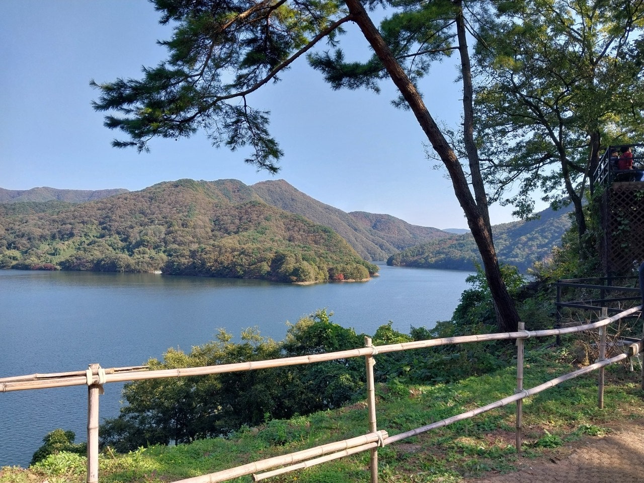 사용자가 올린 이미지