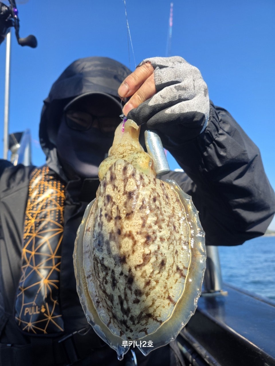 사용자가 올린 이미지