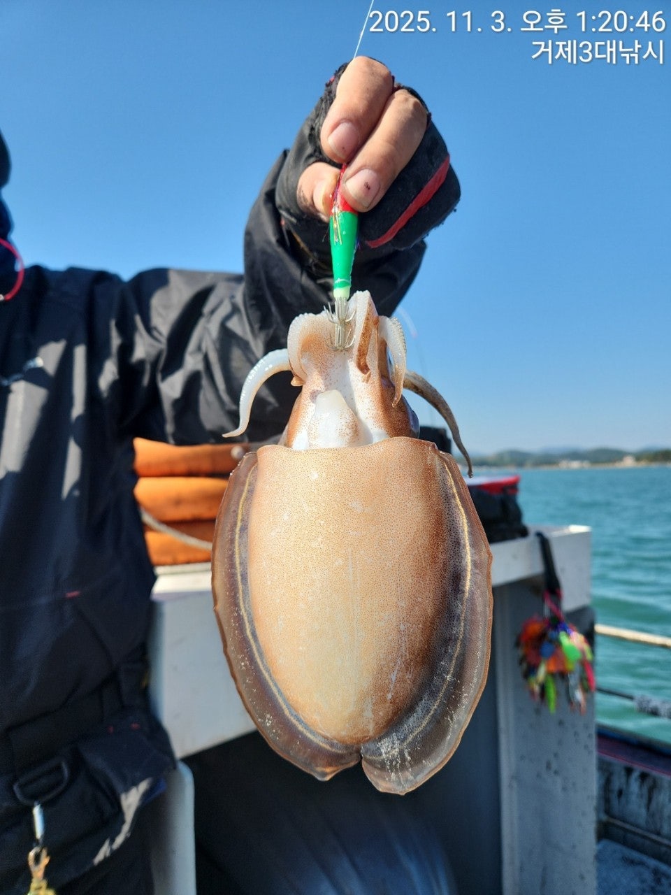 사용자가 올린 이미지