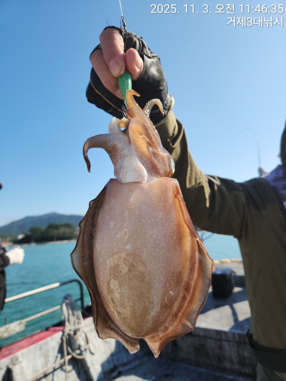 사용자가 올린 이미지