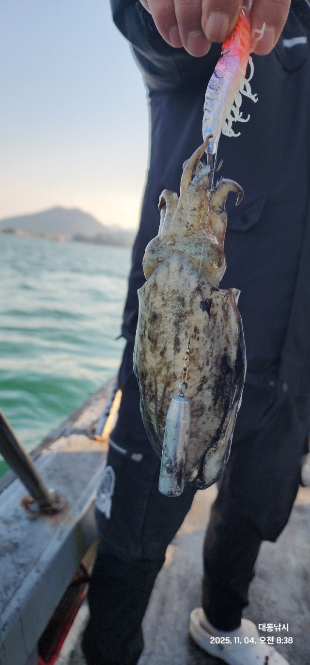 사용자가 올린 이미지