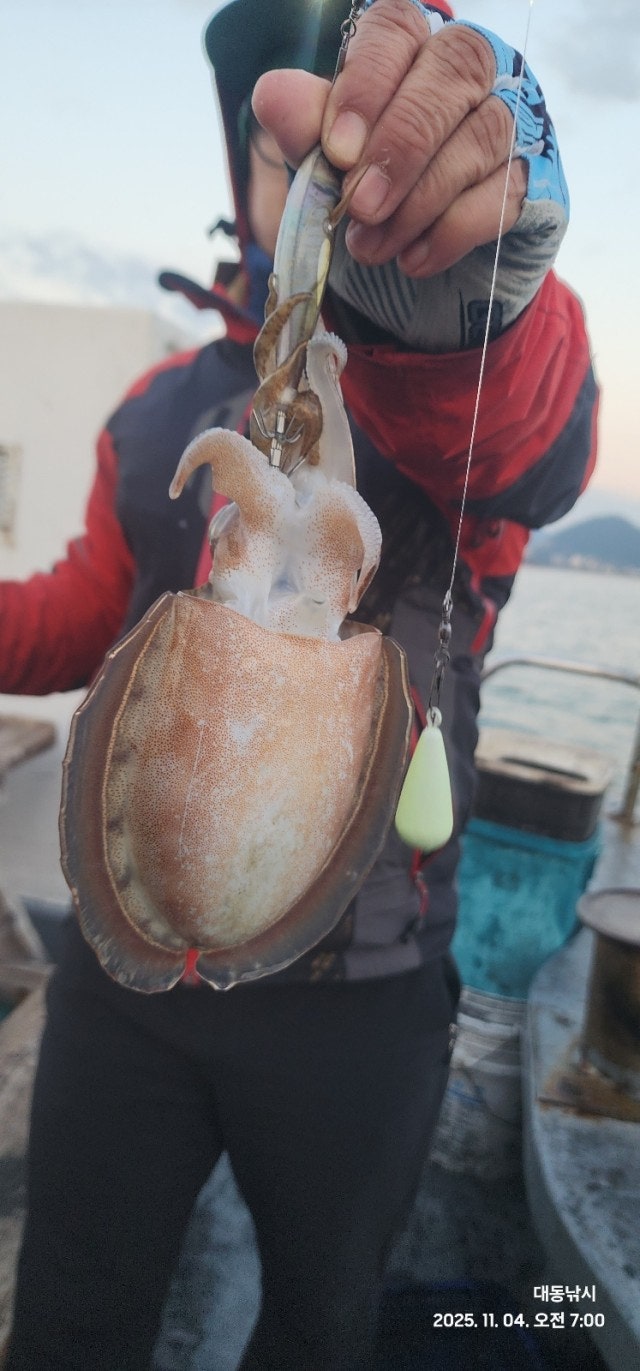 사용자가 올린 이미지