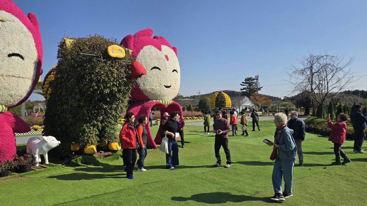 사용자가 올린 이미지