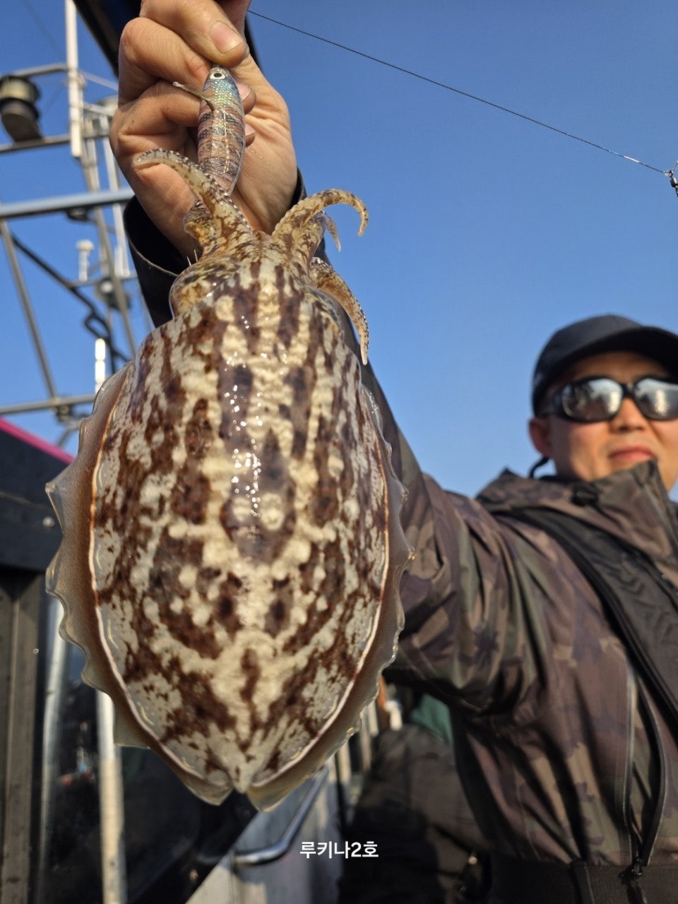 사용자가 올린 이미지