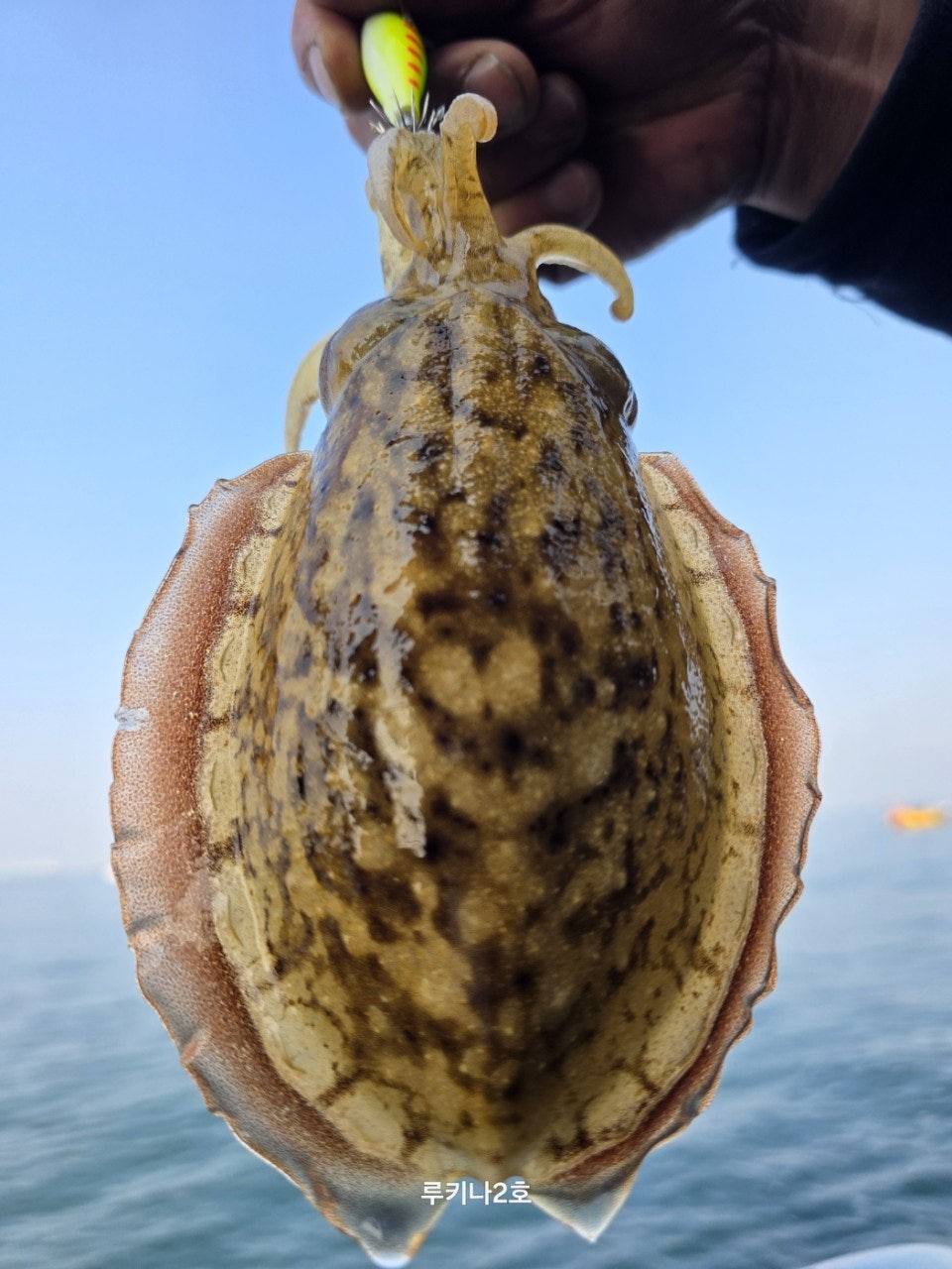 사용자가 올린 이미지