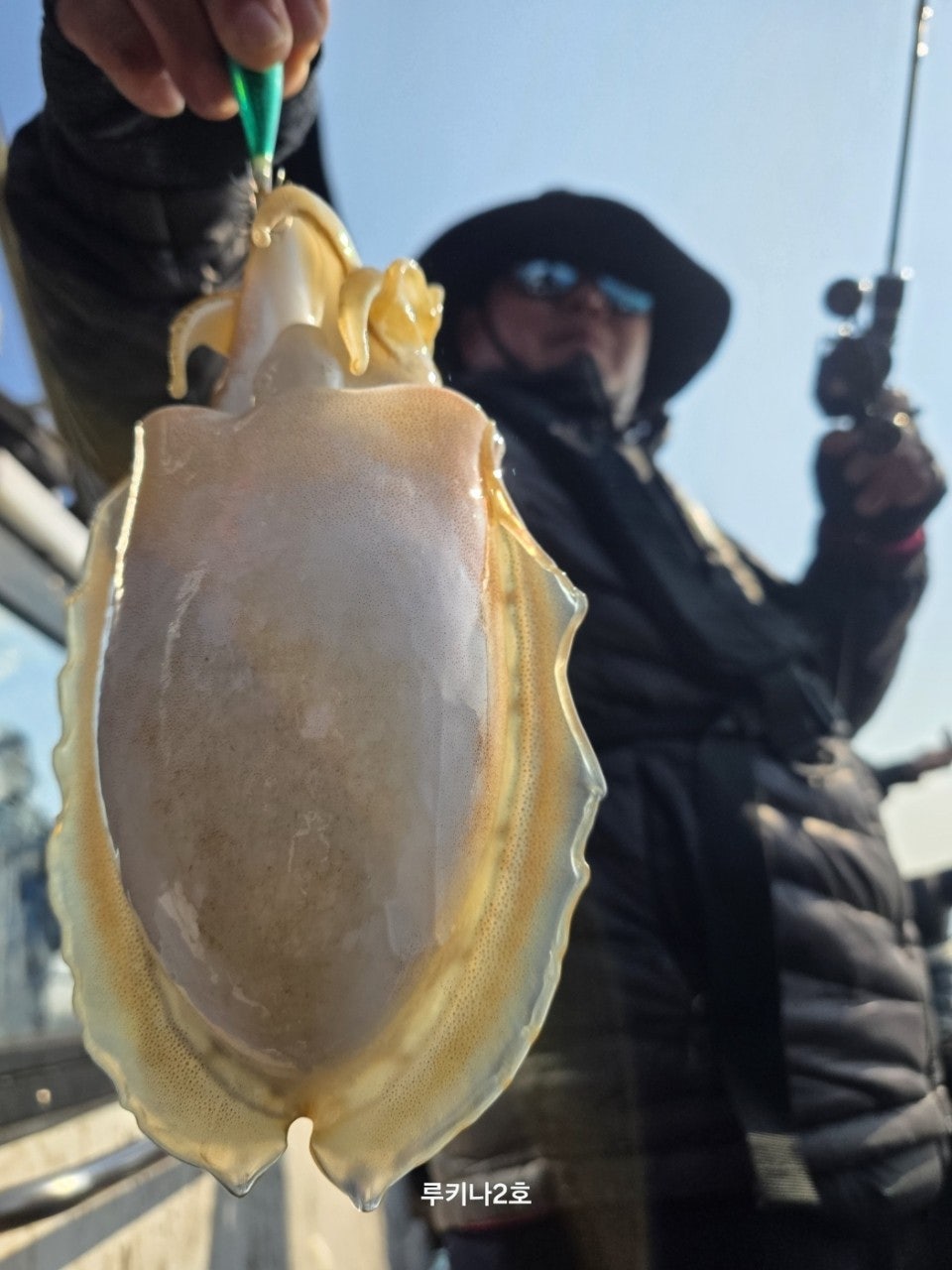 사용자가 올린 이미지