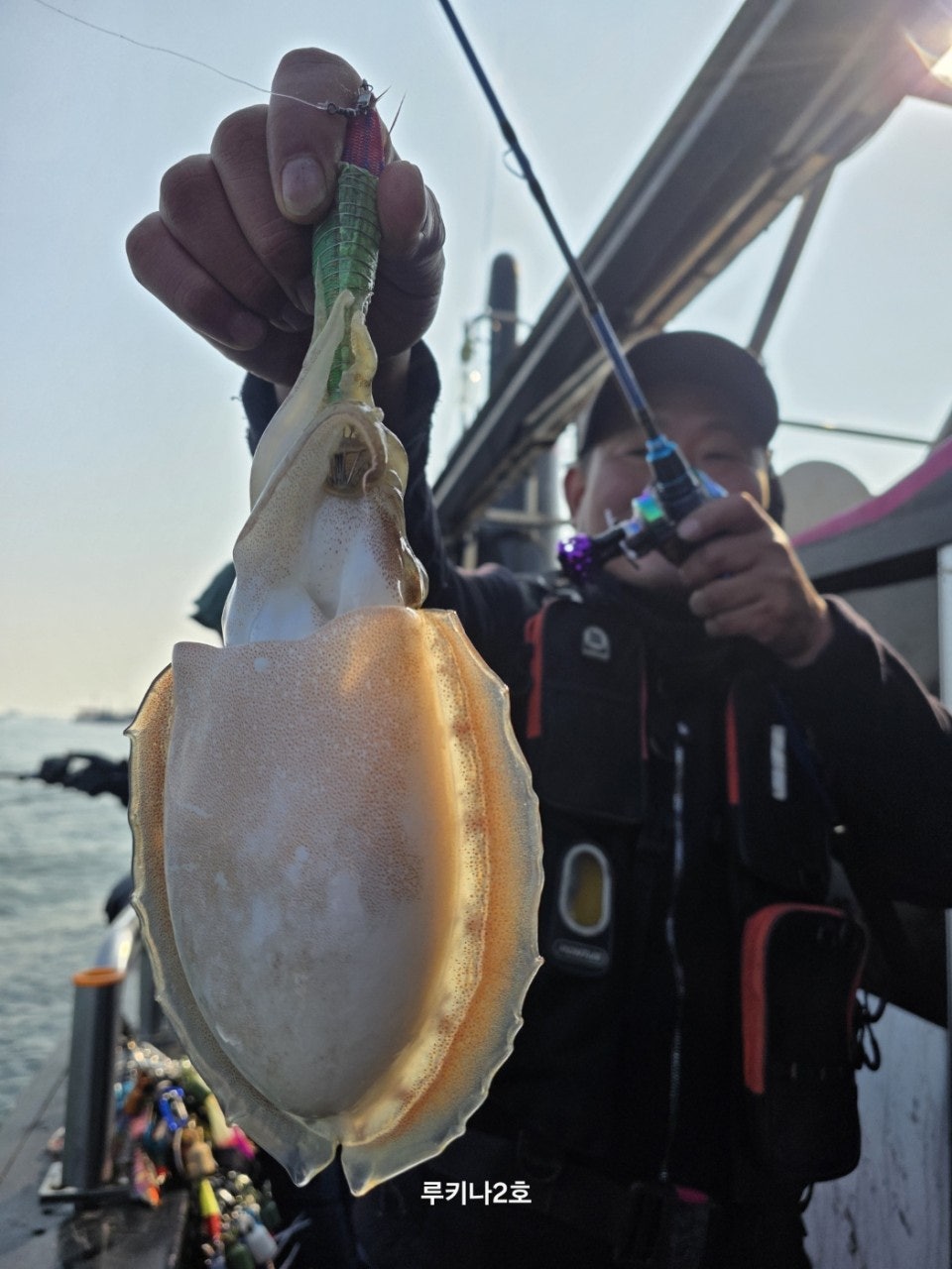 사용자가 올린 이미지