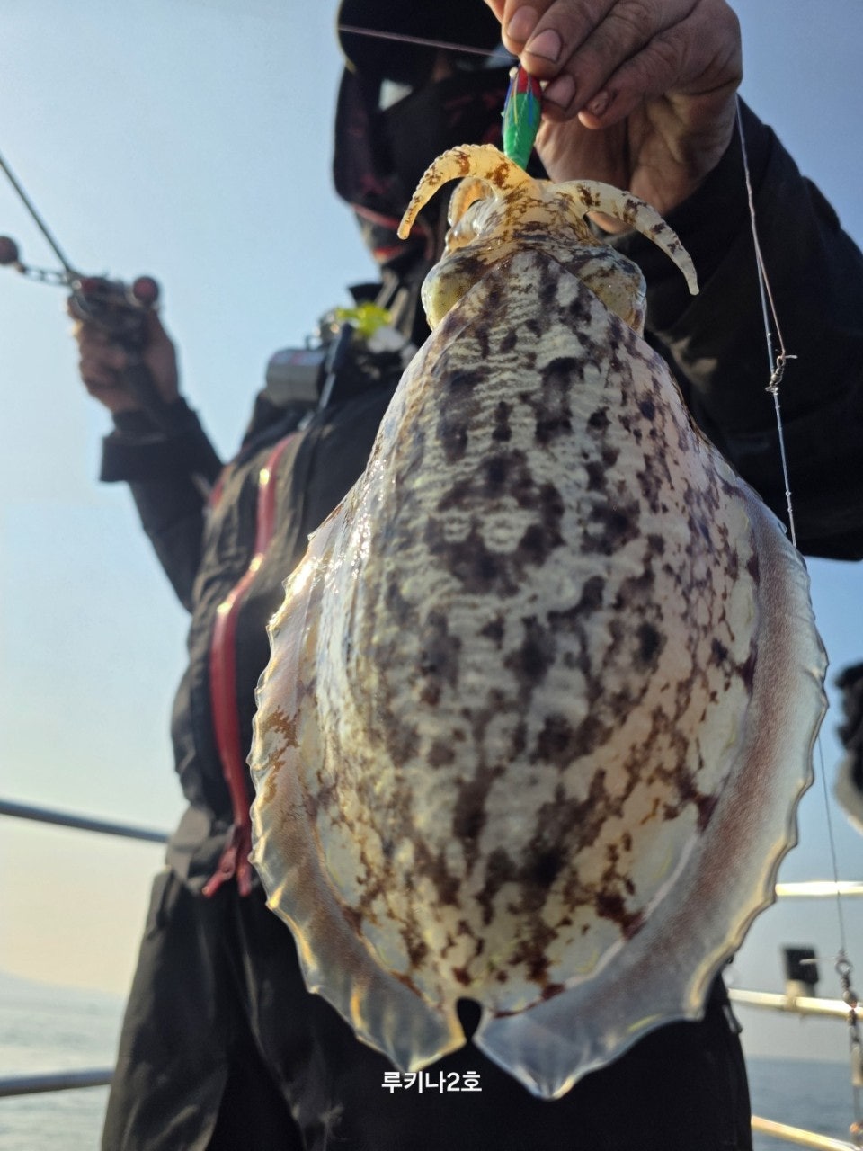 사용자가 올린 이미지