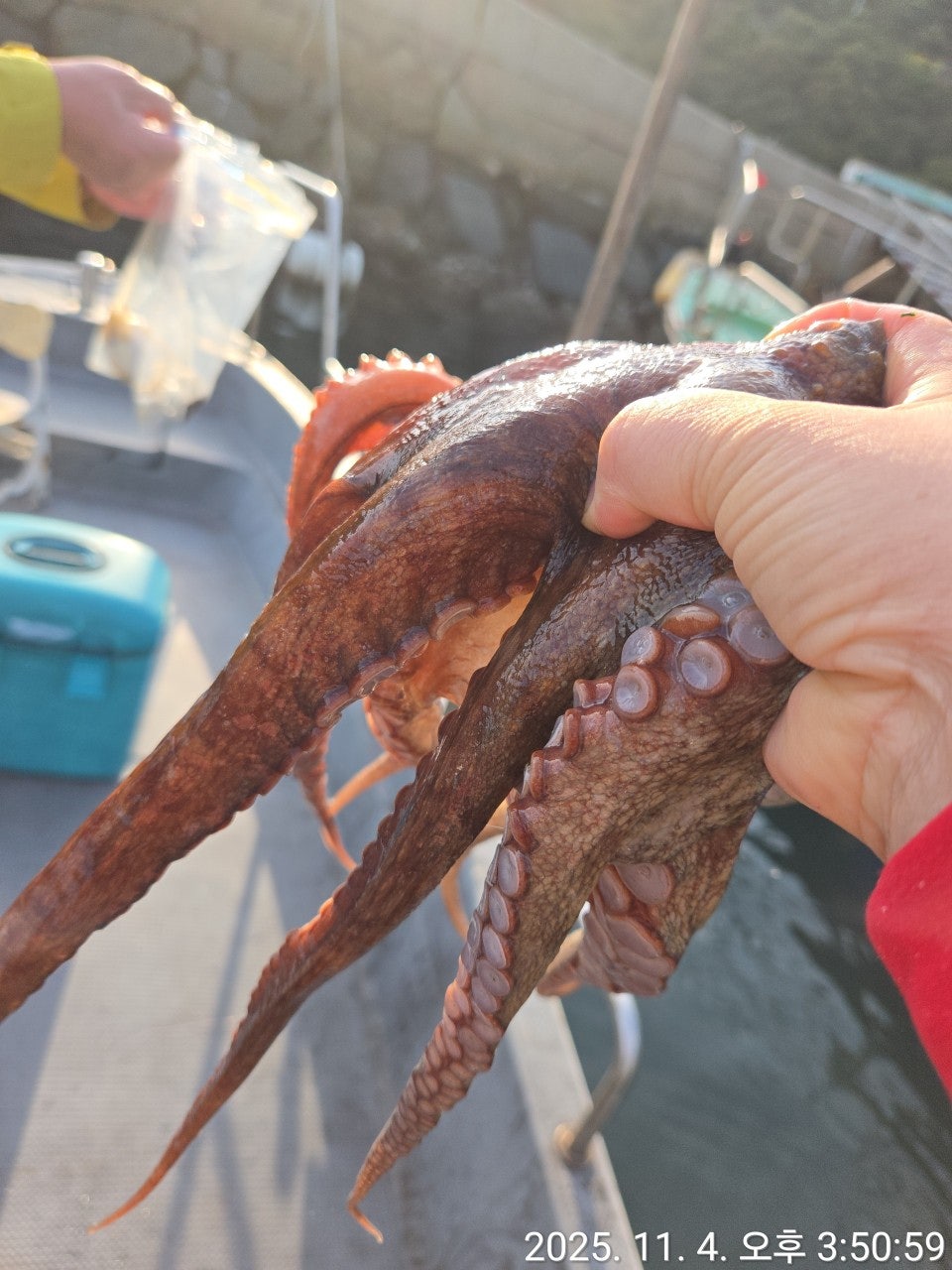 사용자가 올린 이미지