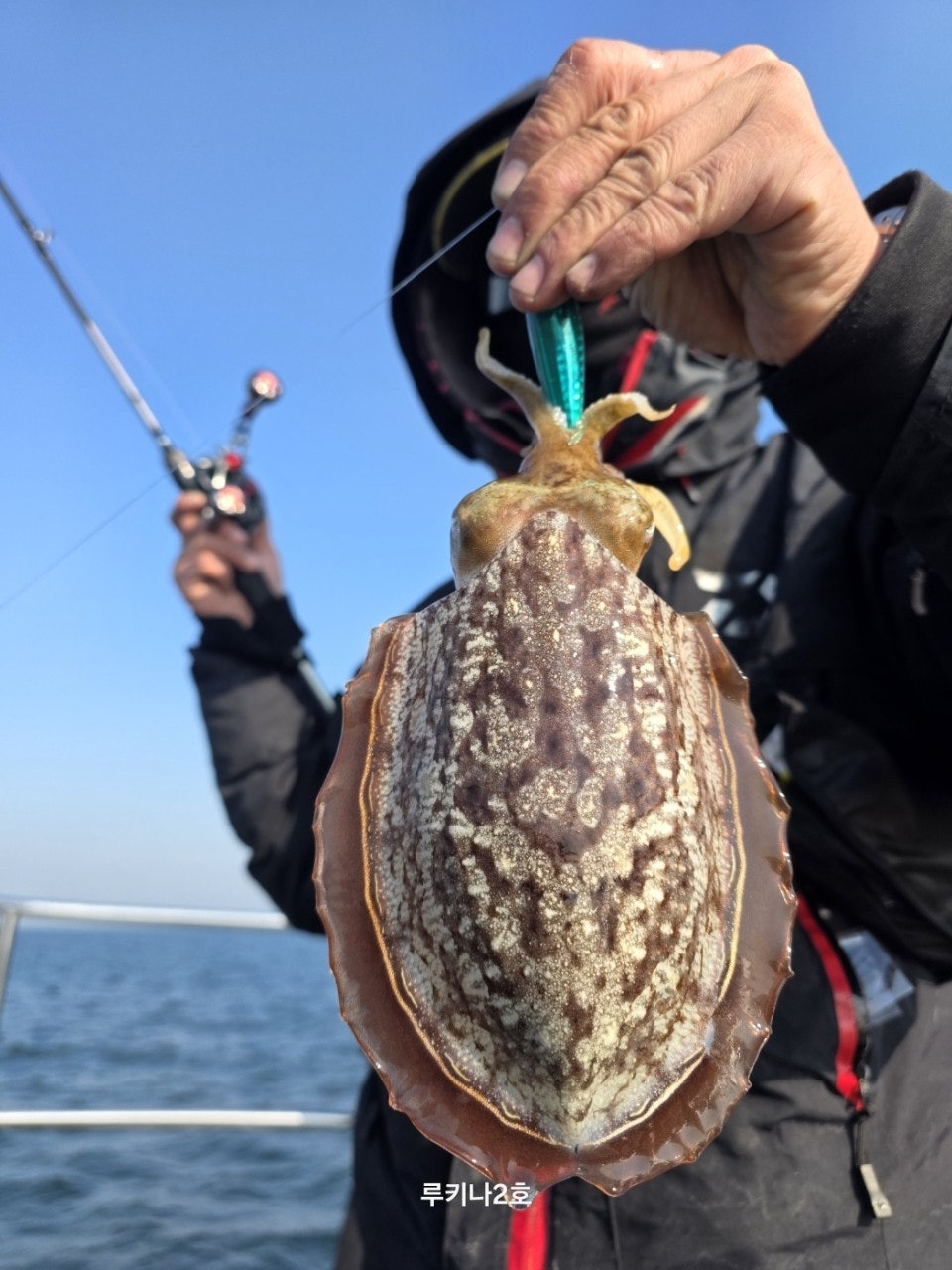 사용자가 올린 이미지