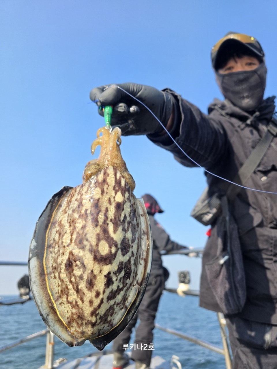 사용자가 올린 이미지