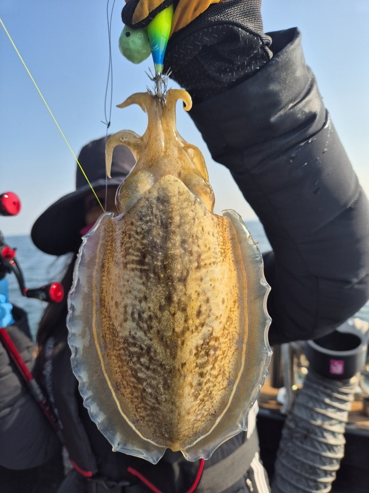 사용자가 올린 이미지