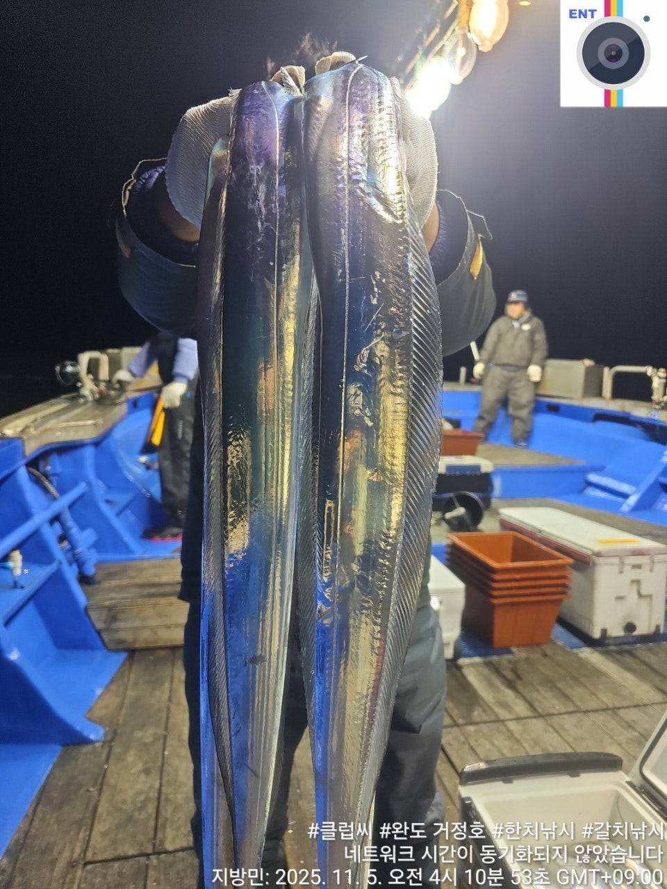 11월 04일 완도 거정호  갈치낚시 다녀왔습니다.
