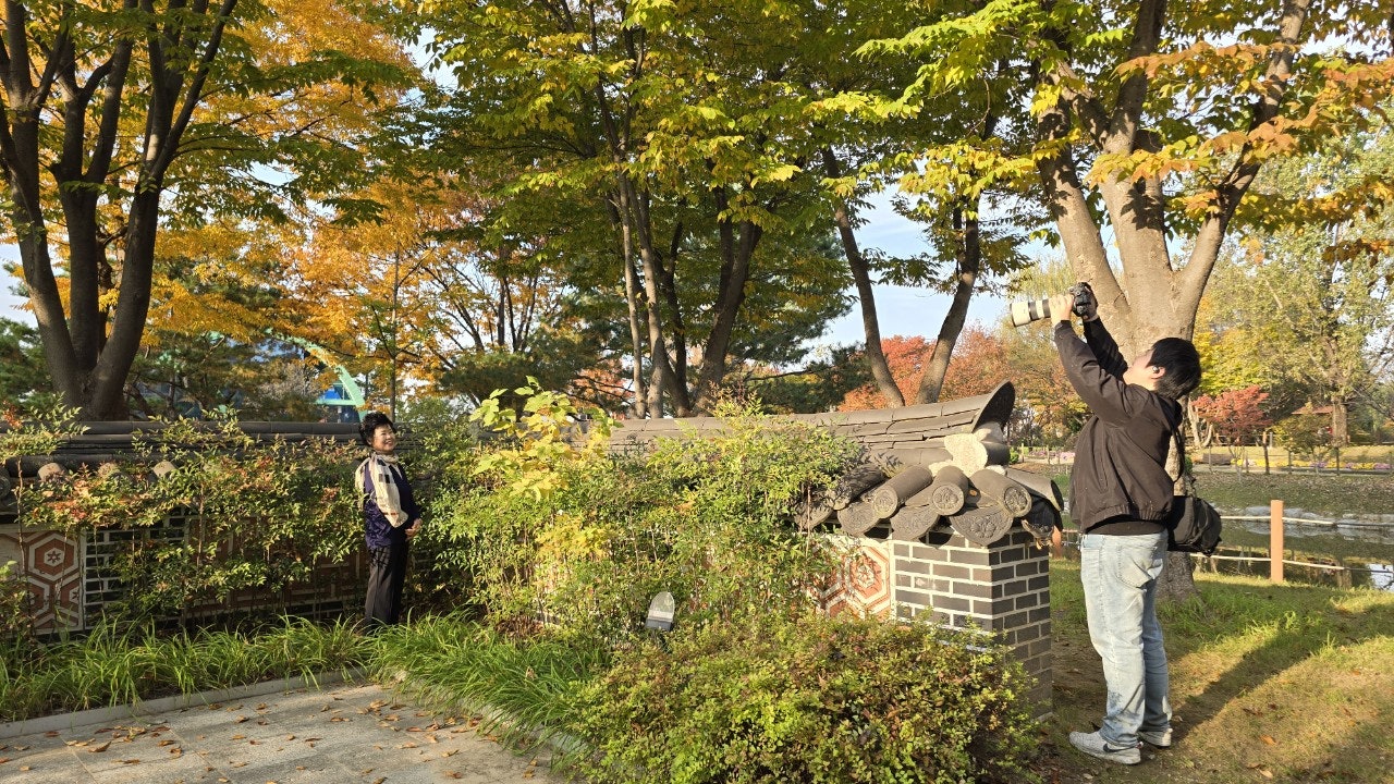 사용자가 올린 이미지