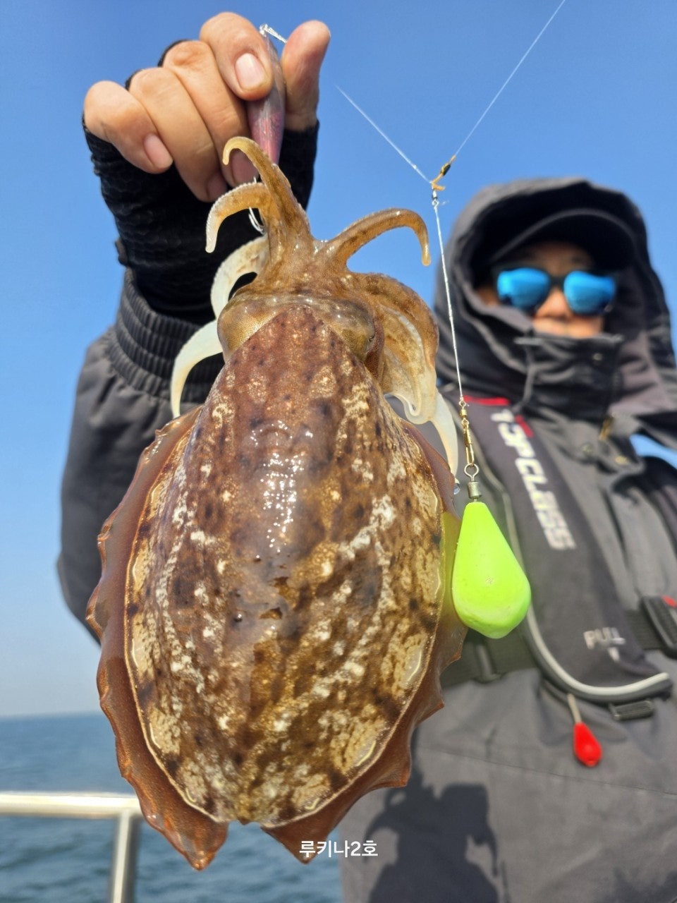 사용자가 올린 이미지