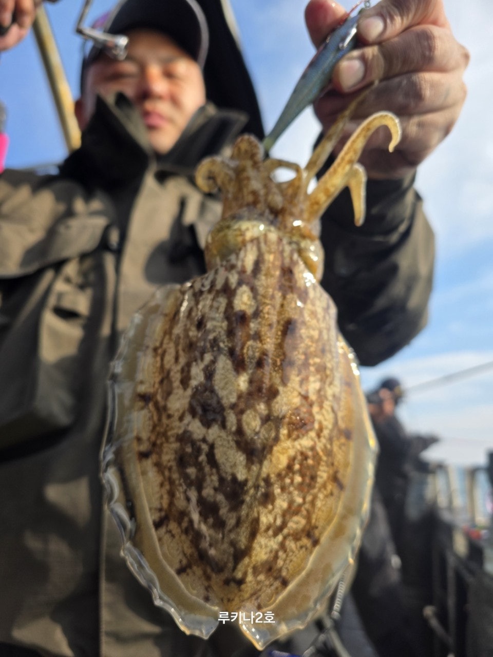 사용자가 올린 이미지