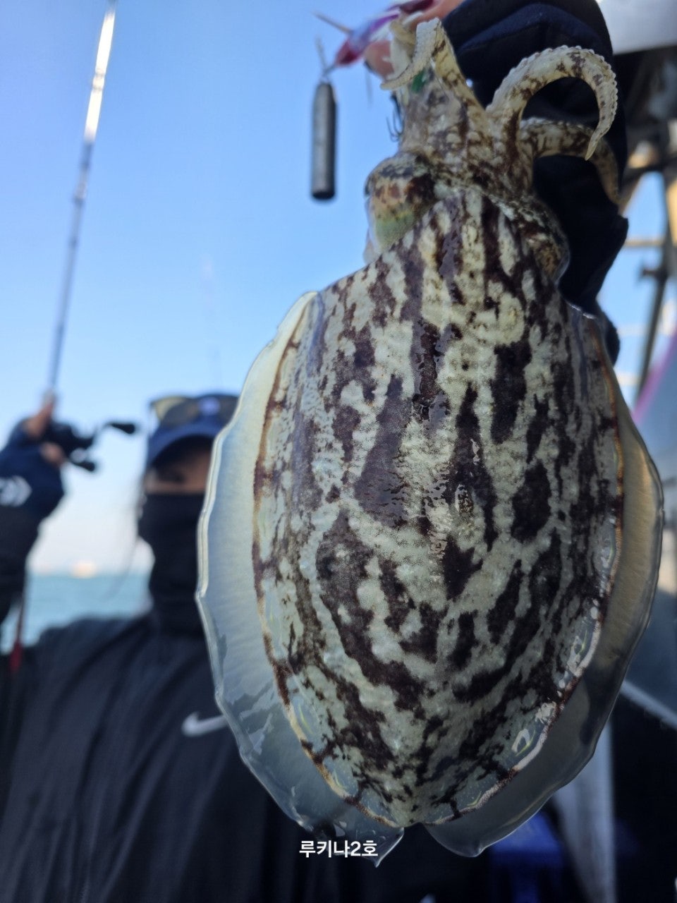 사용자가 올린 이미지