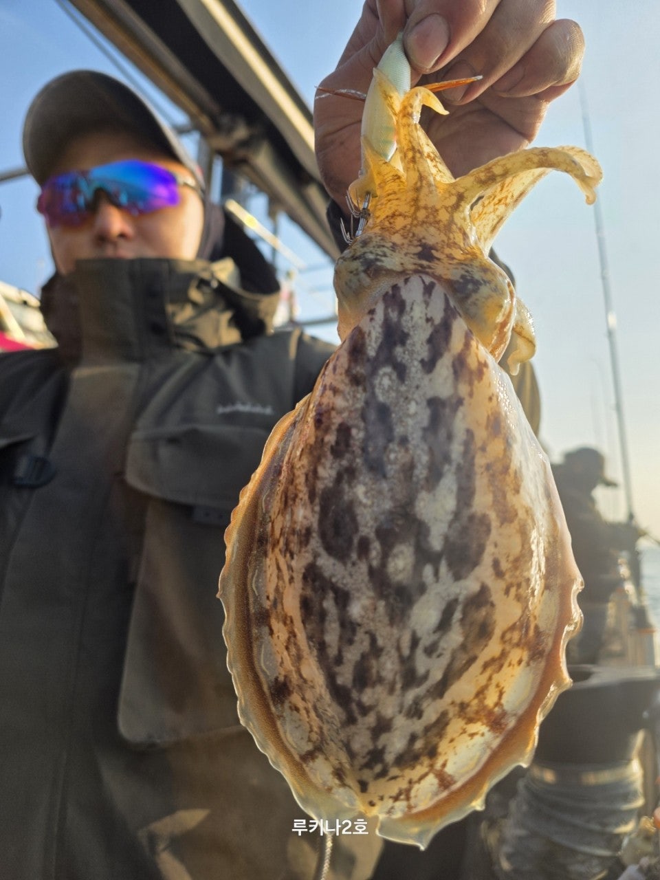 사용자가 올린 이미지