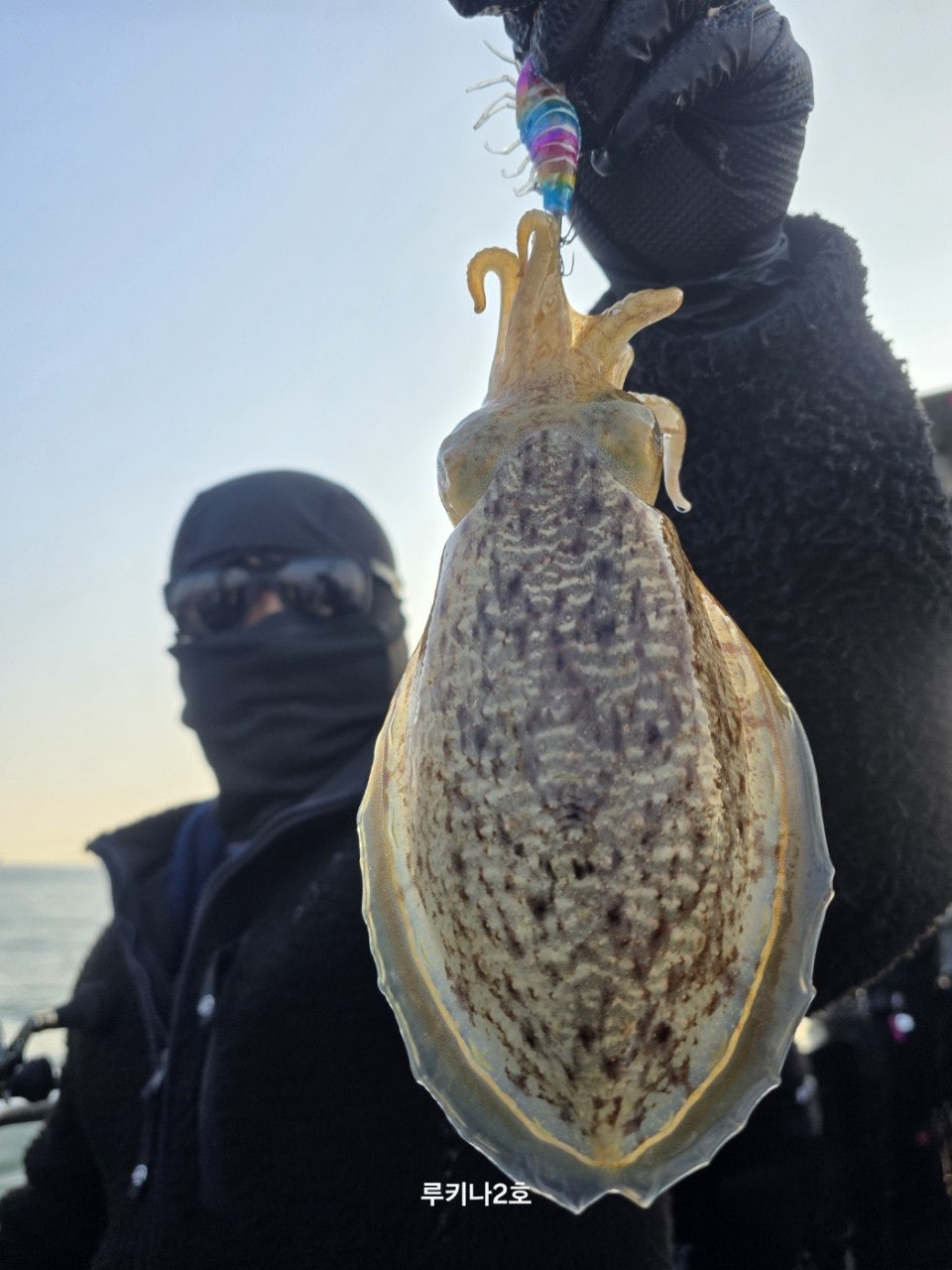 사용자가 올린 이미지