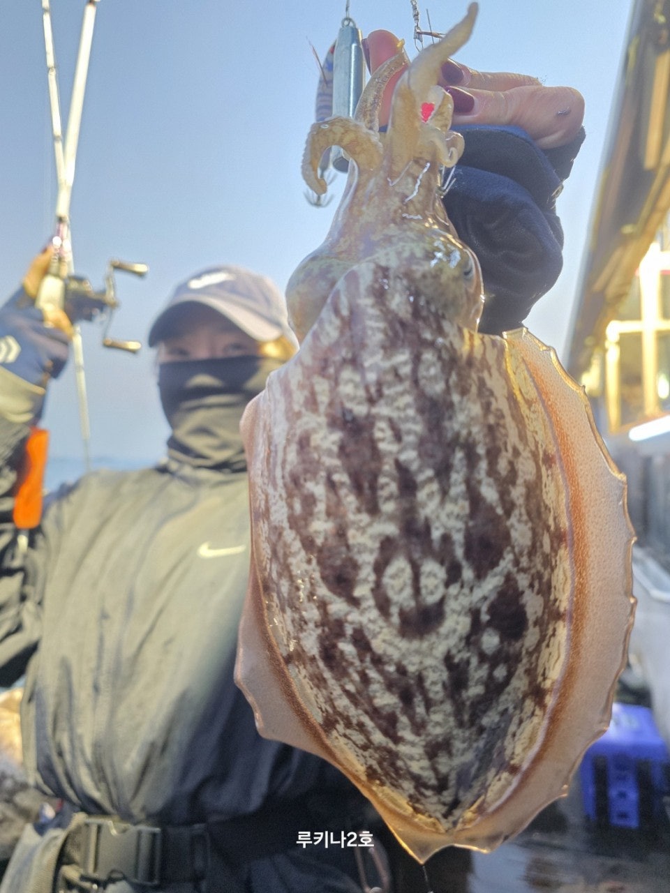 사용자가 올린 이미지