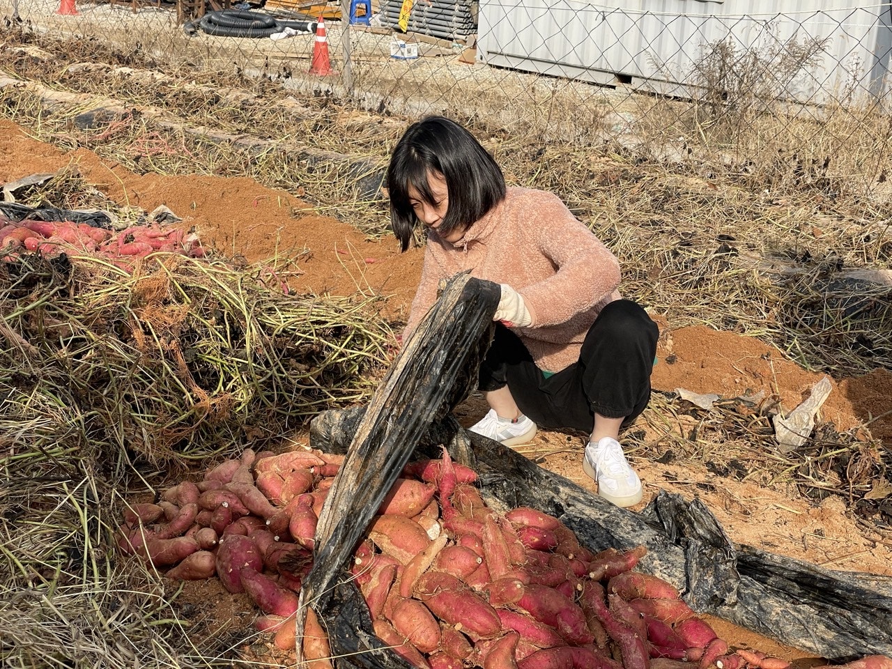 사용자가 올린 이미지