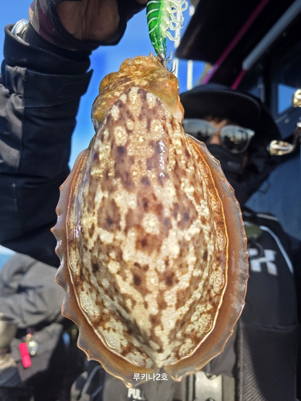 사용자가 올린 이미지