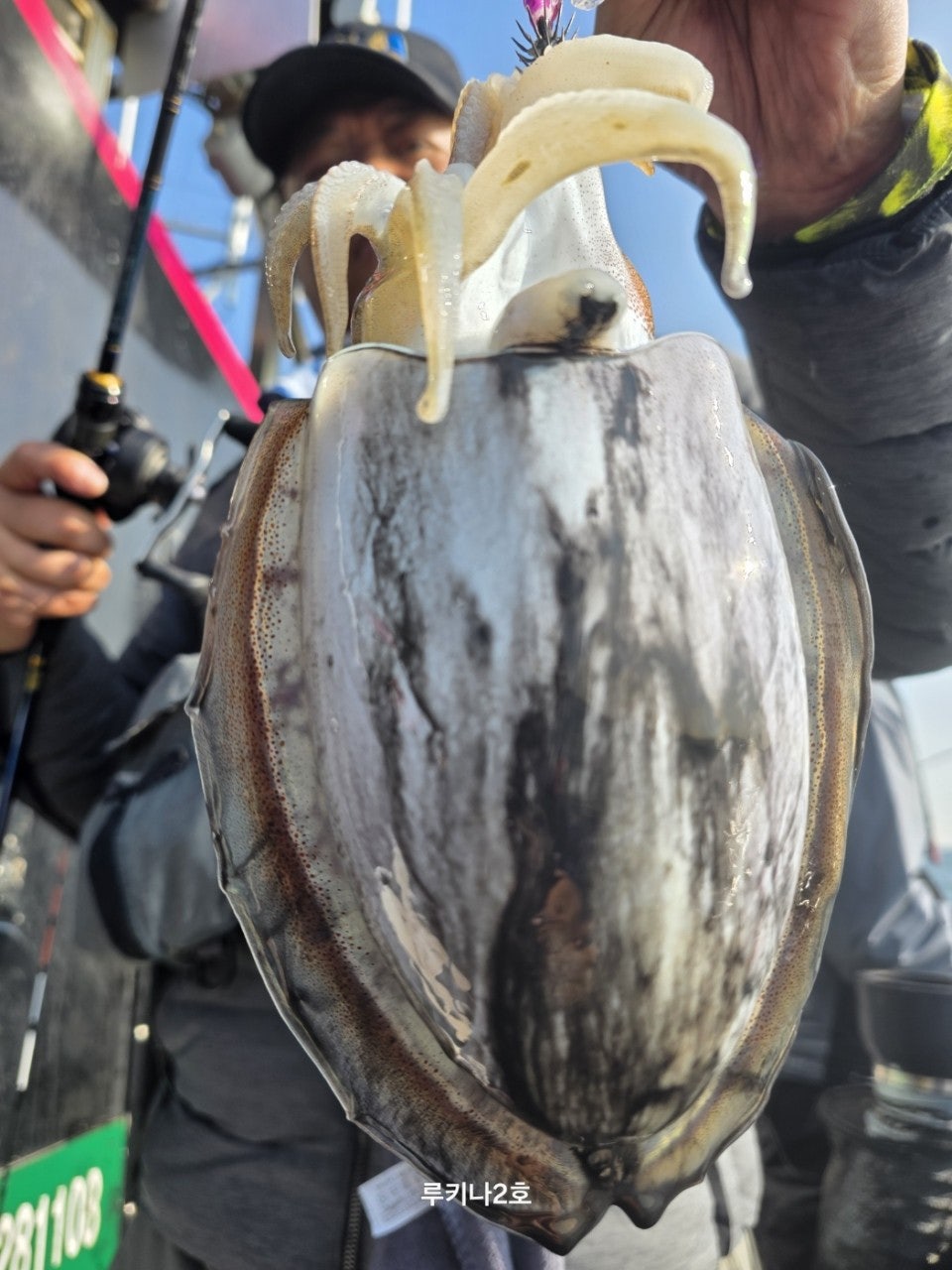 사용자가 올린 이미지