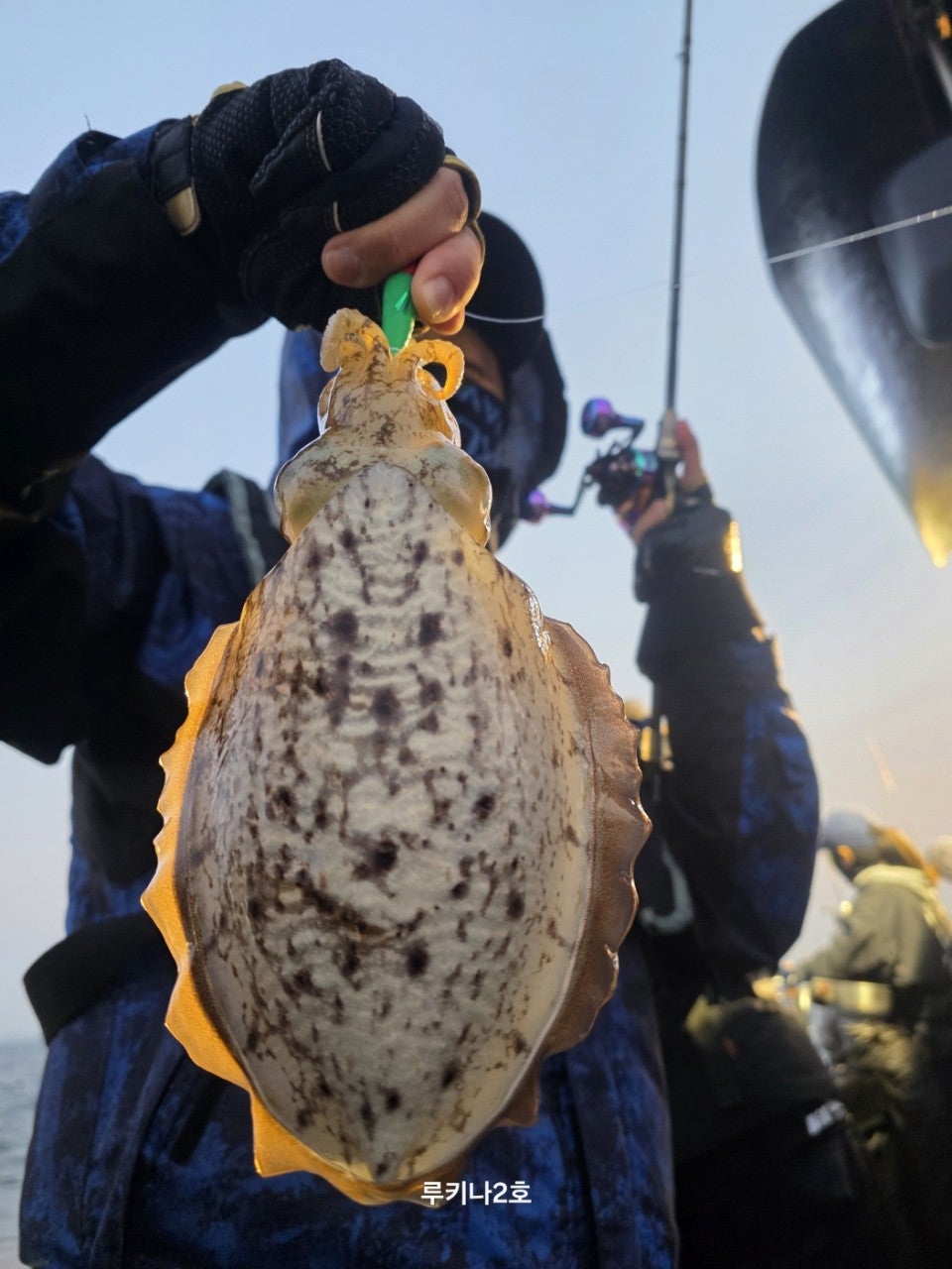 사용자가 올린 이미지