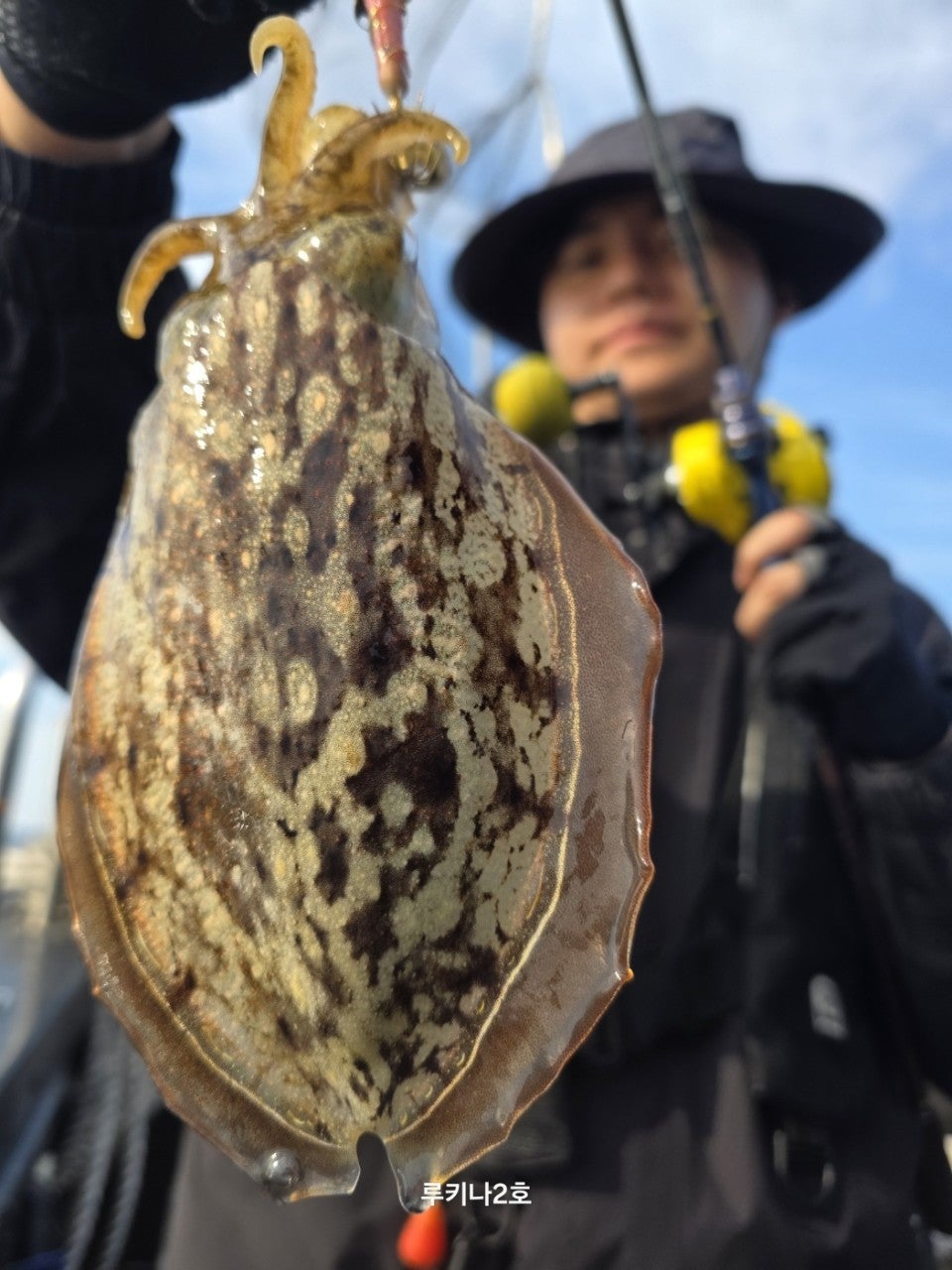 사용자가 올린 이미지