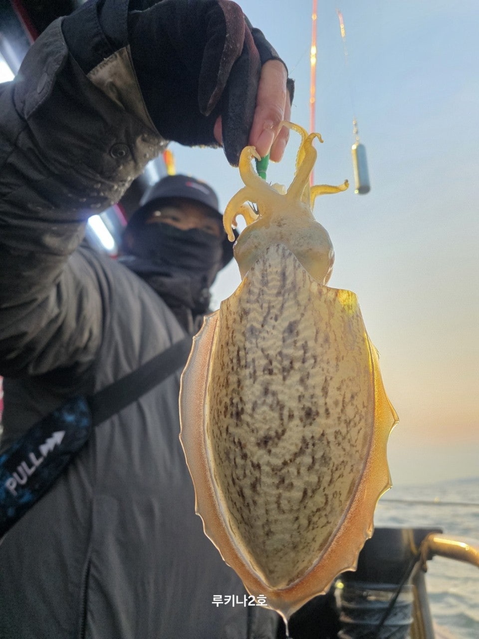 사용자가 올린 이미지