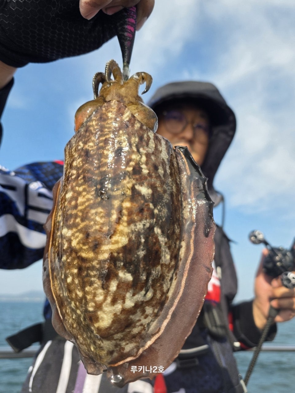 사용자가 올린 이미지