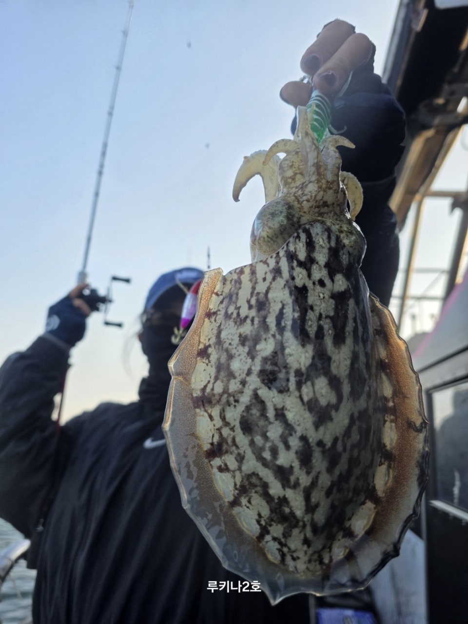 사용자가 올린 이미지