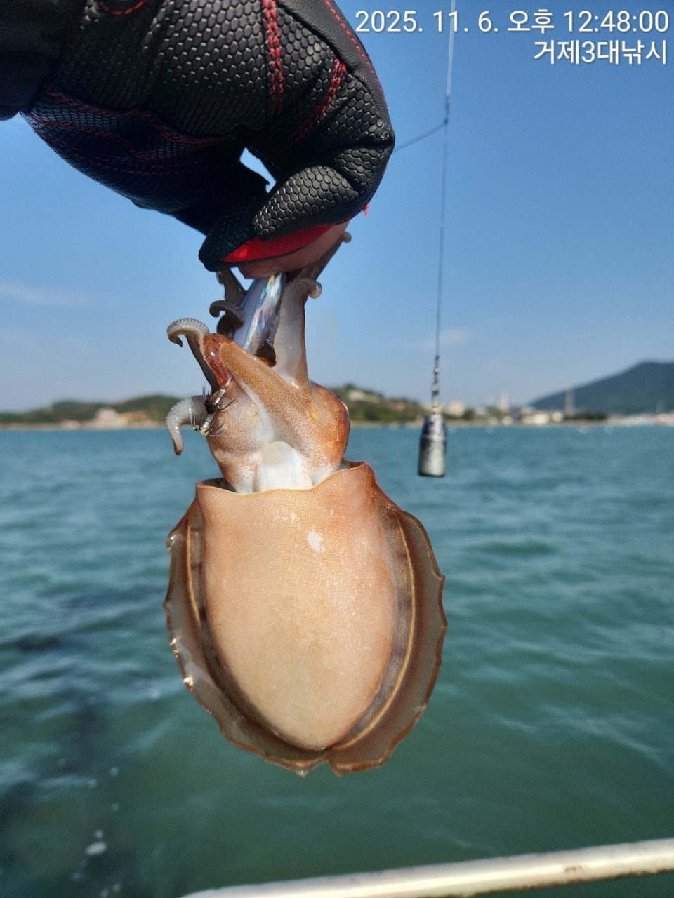 사용자가 올린 이미지