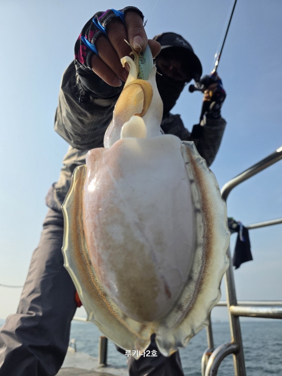 사용자가 올린 이미지