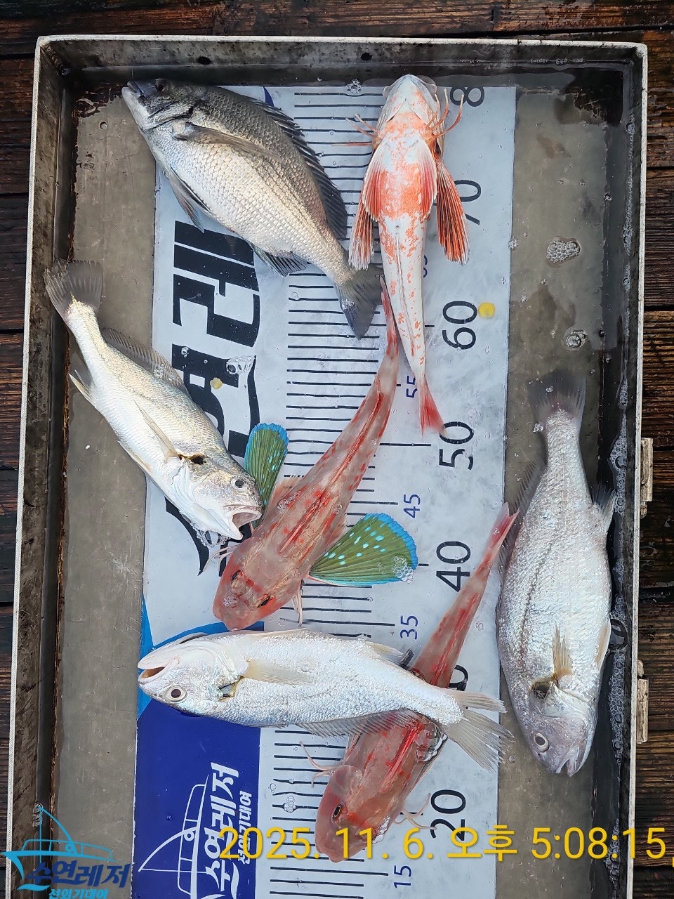 사용자가 올린 이미지