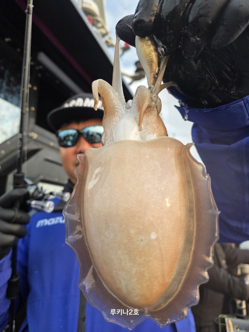 사용자가 올린 이미지