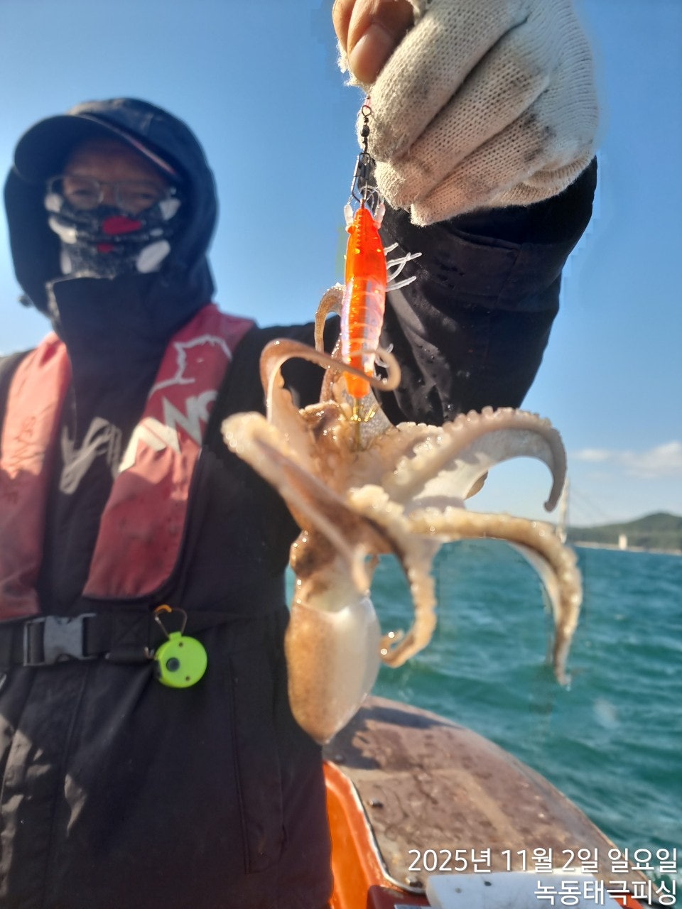 사용자가 올린 이미지