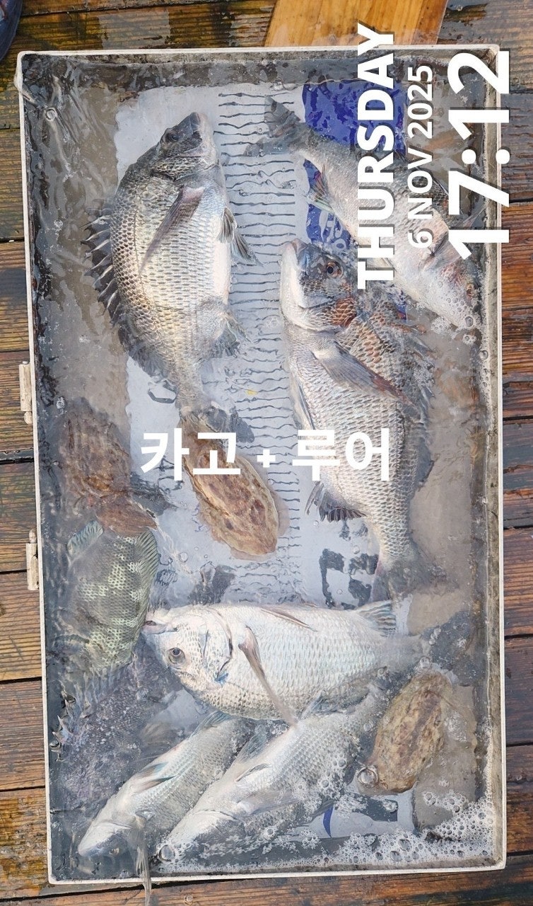 사용자가 올린 이미지