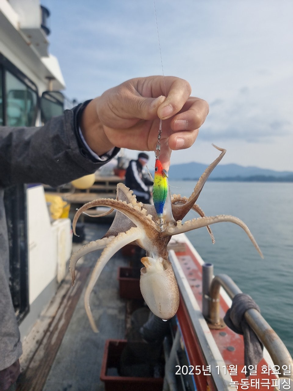 사용자가 올린 이미지