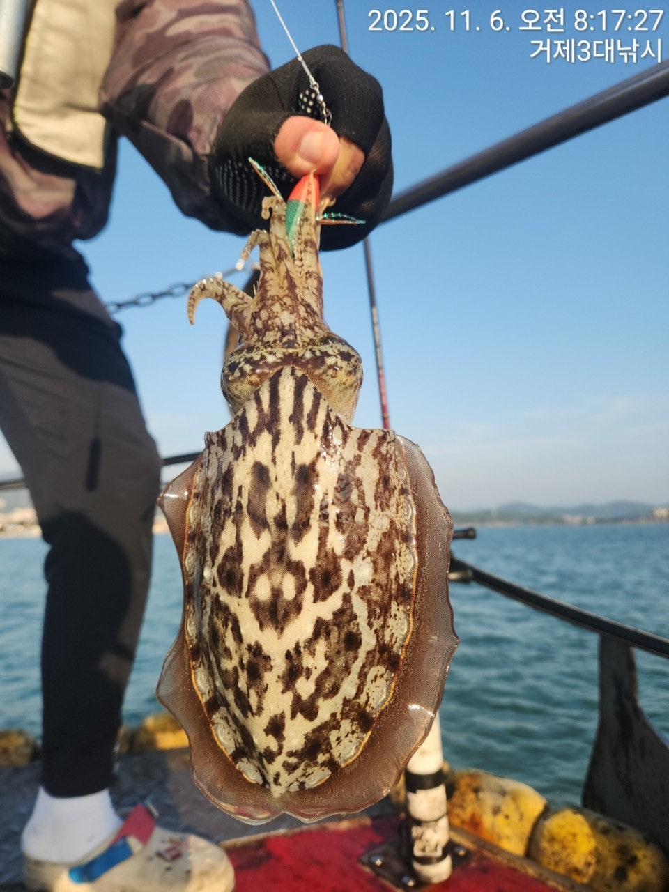 사용자가 올린 이미지