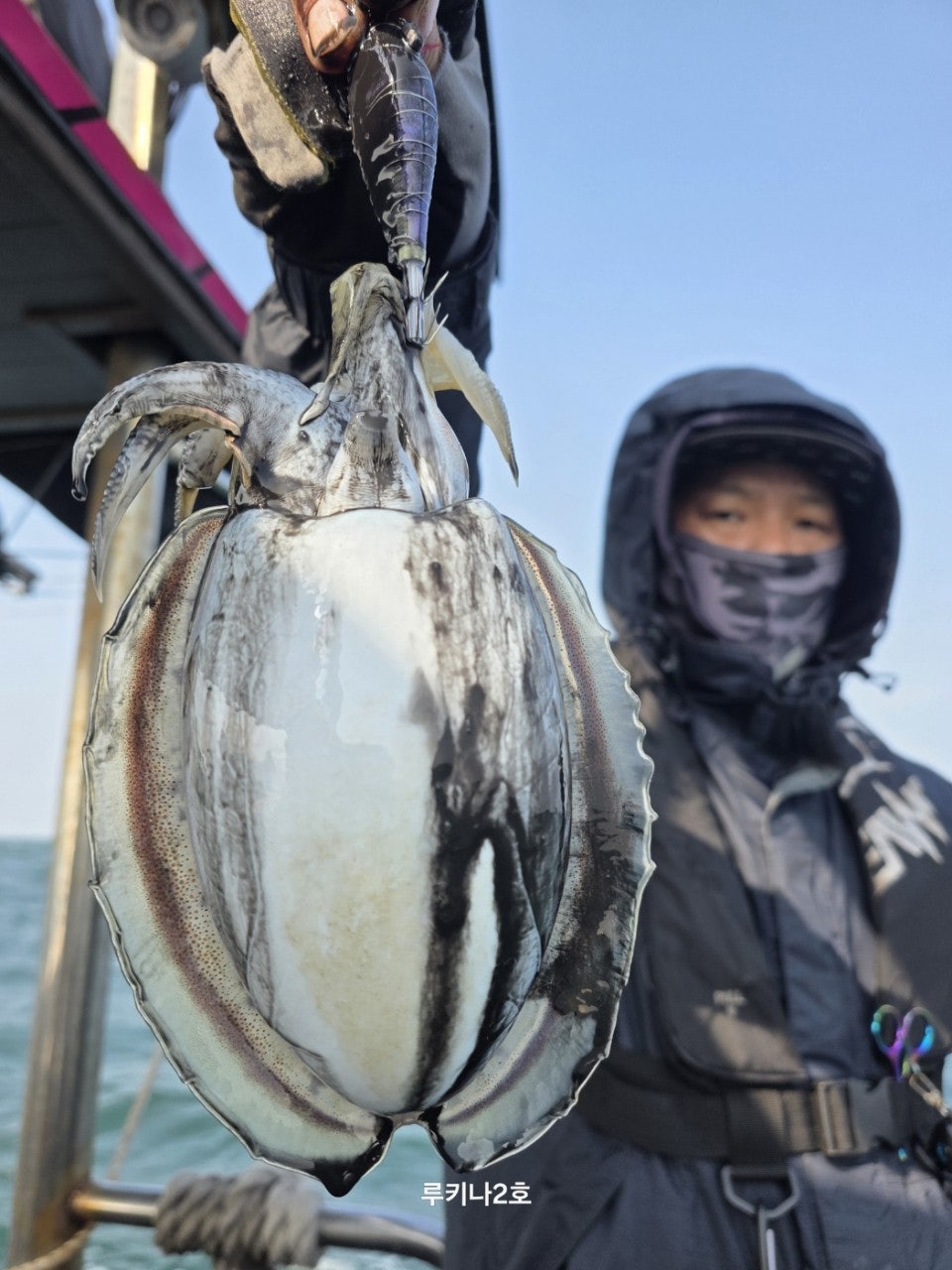 사용자가 올린 이미지