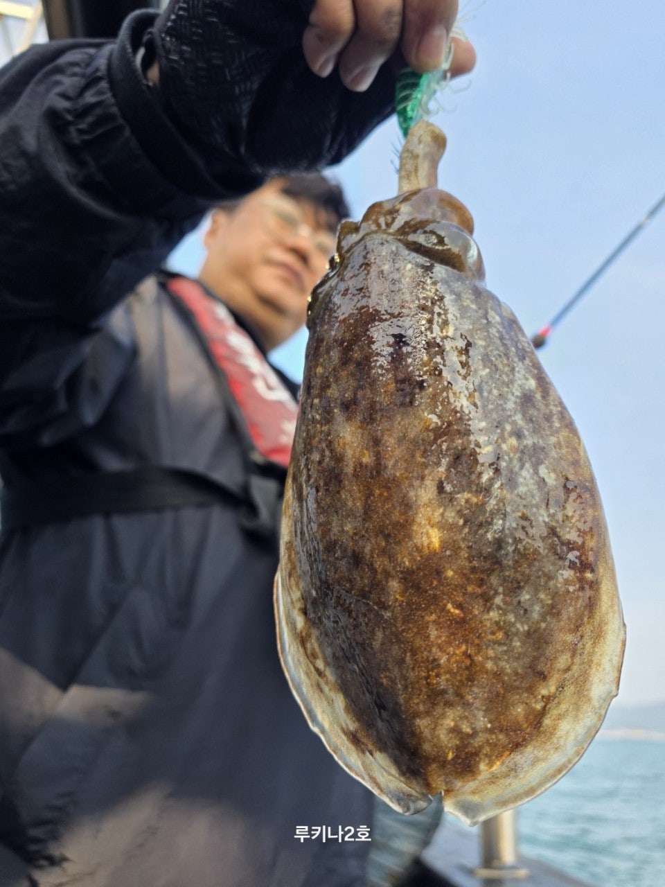 사용자가 올린 이미지